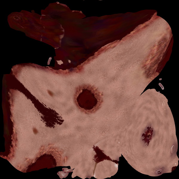 head pale c4d - Impaled Mutilated Girl Corpse... by scyrus